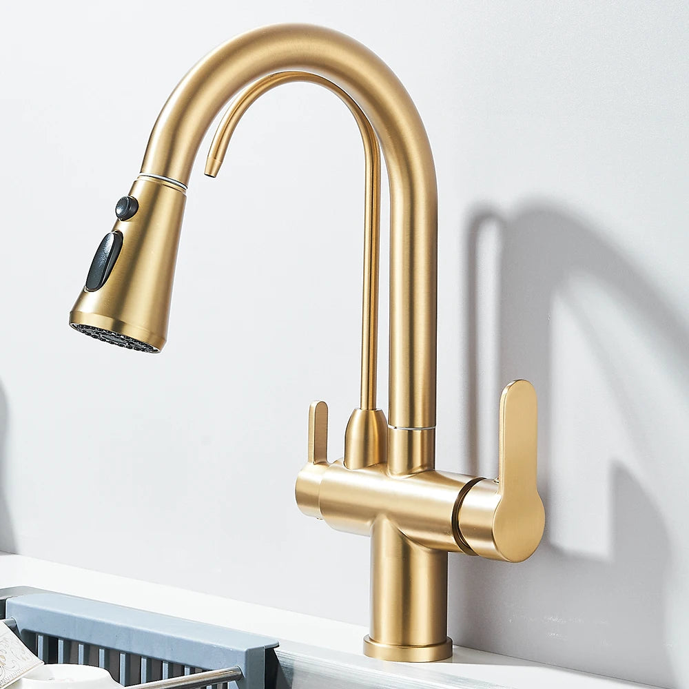 Luxe 3-in-1 Keukenkraan met Waterfilter